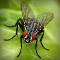 /album/isnamtiacon/photolia-a01-jpg/