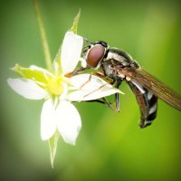 /album/isnamtiacon/photolia-a02-jpg/