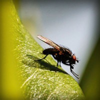 /album/isnamtiacon/photolia-a04-jpg/