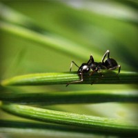 /album/isnamtiacon/photolia-a05-jpg/