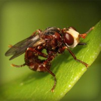 /album/isnamtiacon/photolia-a06-jpg/