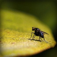 /album/isnamtiacon/photolia-a07-jpg/