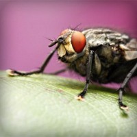 /album/isnamtiacon/photolia-a08-jpg/